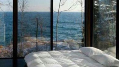 معرفی محصولات بانی لند